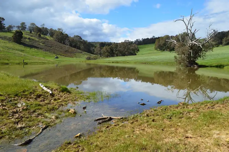 Seventh view of Homely rural property listing, Lot 3 NIEUWENHUYZE ROAD, Kirup WA 6251