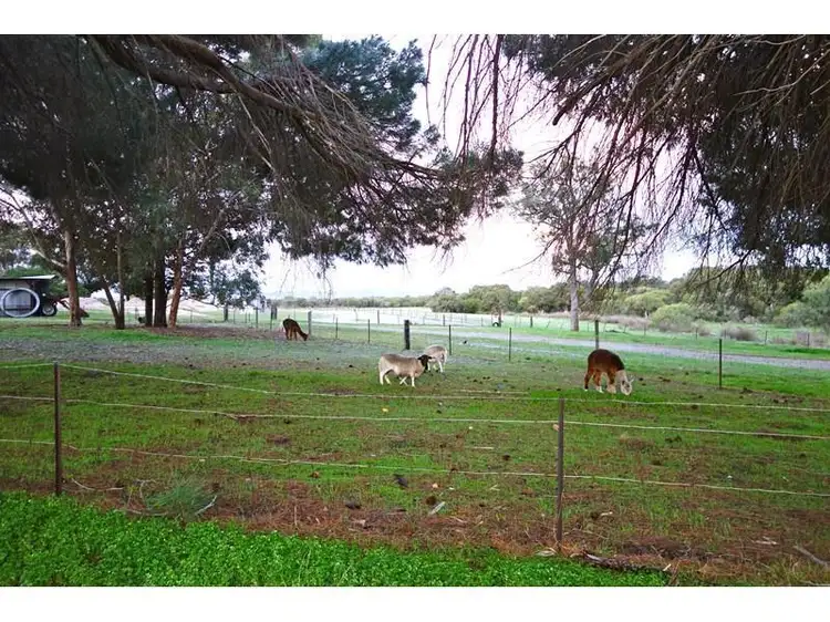 Third view of Homely house listing, 651 Nicholson Rd (BUYERS MISSED OUT are U Selling?), Forrestdale WA 6112