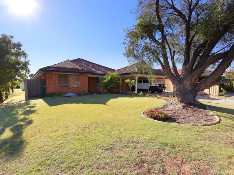 Sixth view of Homely house listing, 11 Bluegum Road, Thornlie WA 6108