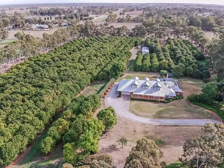 Third view of Homely house listing, 39 Holstein Close, Brigadoon WA 6069