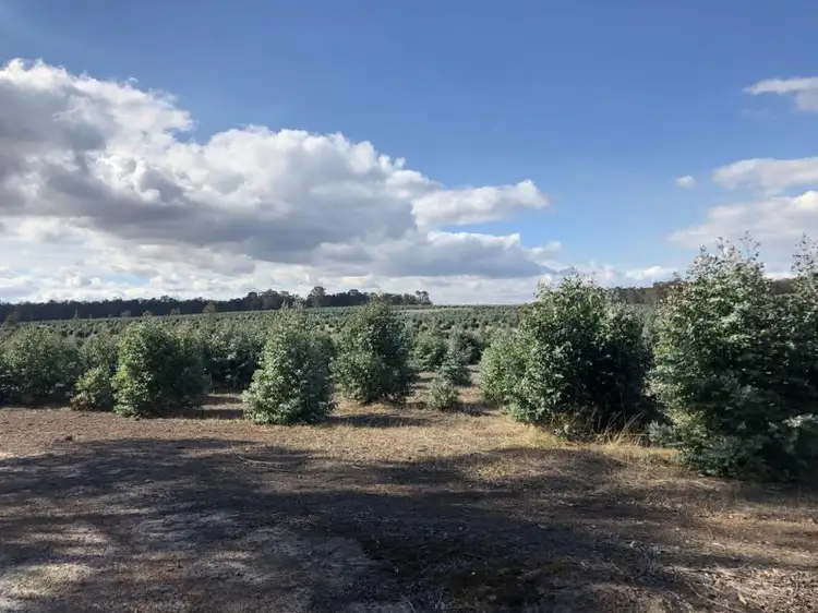 Lots 15 and Lot 1 Boyup Brook North, Mcalinden WA 6225