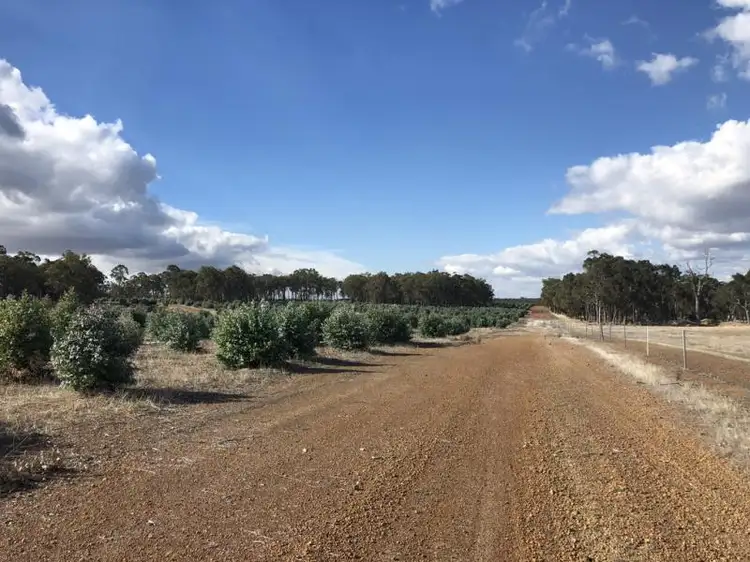Second view of Homely rural property listing, Lots 15 and Lot 1 Boyup Brook North, Mcalinden WA 6225