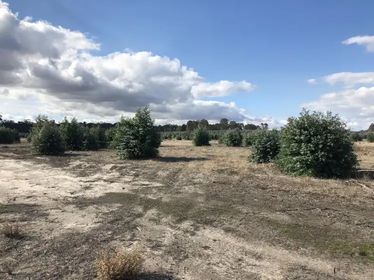 Third view of Homely rural property listing, Lots 15 and Lot 1 Boyup Brook North, Mcalinden WA 6225