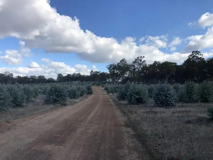 Fifth view of Homely rural property listing, Lots 15 and Lot 1 Boyup Brook North, Mcalinden WA 6225