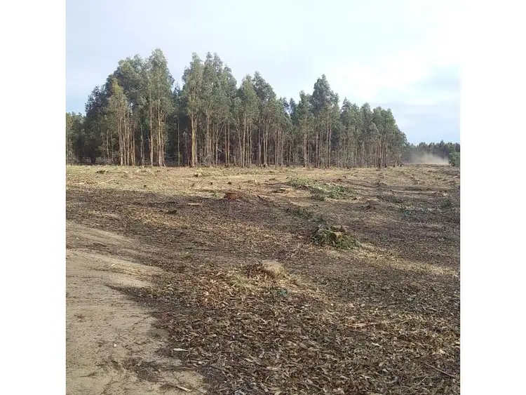 Second view of Homely rural property listing, Lots 3812,4364 Weld Road, Capel River WA 6271