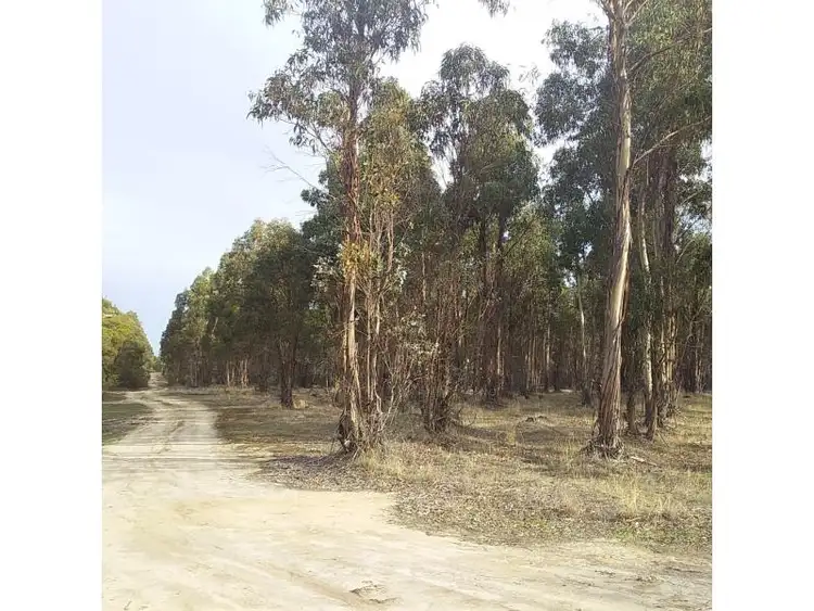 Third view of Homely rural property listing, Lots 3812,4364 Weld Road, Capel River WA 6271