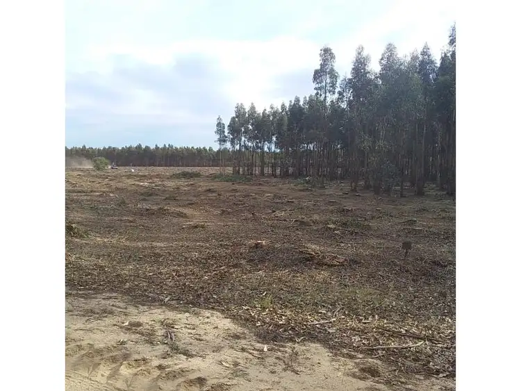 Sixth view of Homely rural property listing, Lots 3812,4364 Weld Road, Capel River WA 6271