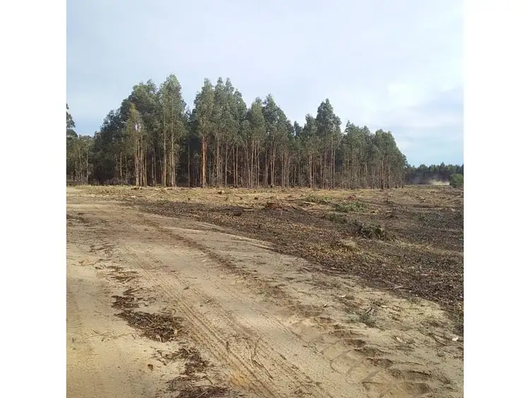 Seventh view of Homely rural property listing, Lots 3812,4364 Weld Road, Capel River WA 6271