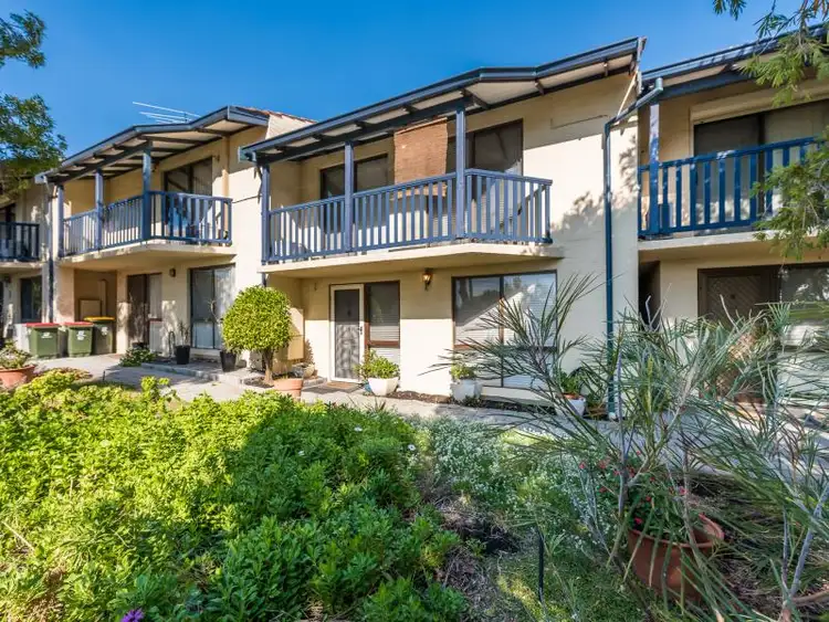 Main view of Homely townhouse listing, 6/785 Karrinyup  Road, Balcatta WA 6021