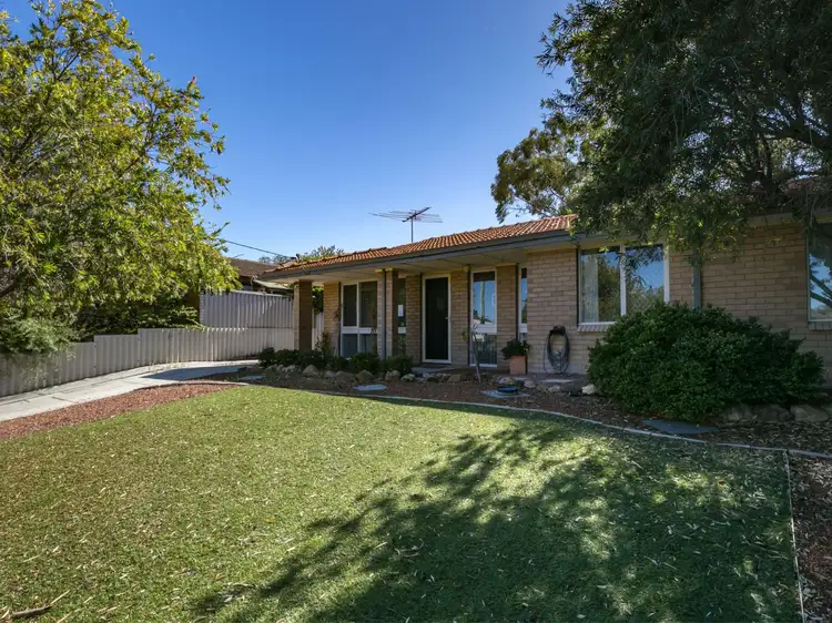 Main view of Homely house listing, 47 Camberwarra Drive, Craigie WA 6025