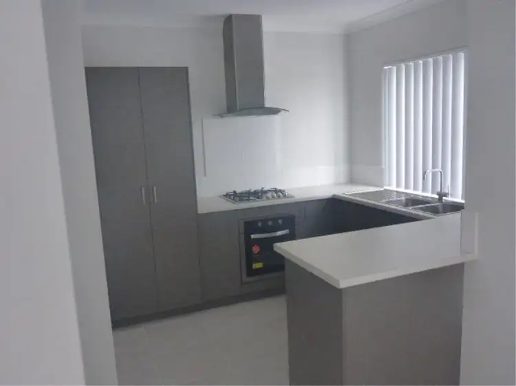 Second view of Homely unit listing, 116 Piazza  Link, Alkimos WA 6038