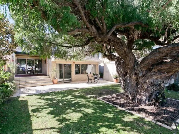 Sixth view of Homely house listing, 97A Matheson Road, Applecross WA 6153