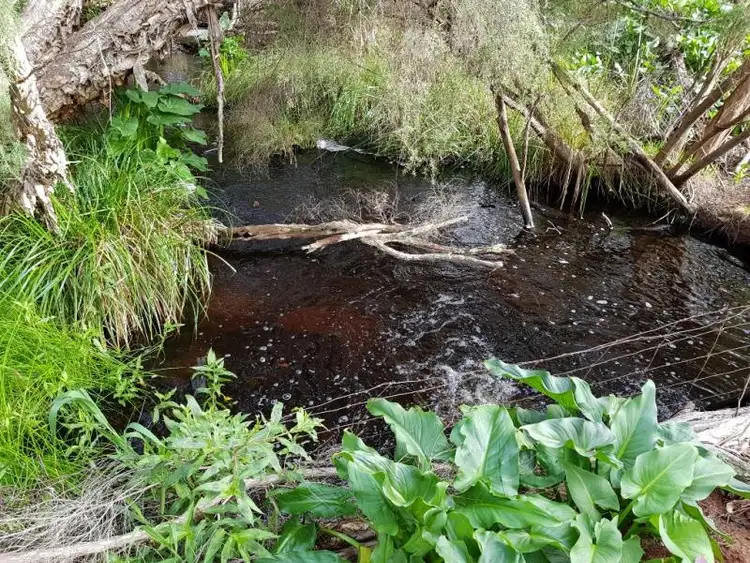 Seventh view of Homely rural property listing, 285 Lennards Road, Gingin WA 6503