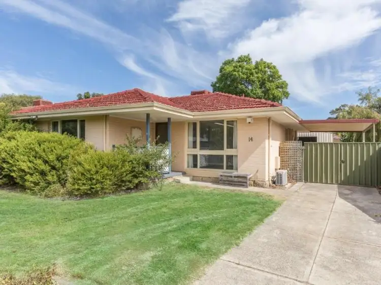 Main view of Homely house listing, 14 Hollybush Way, Kelmscott WA 6111