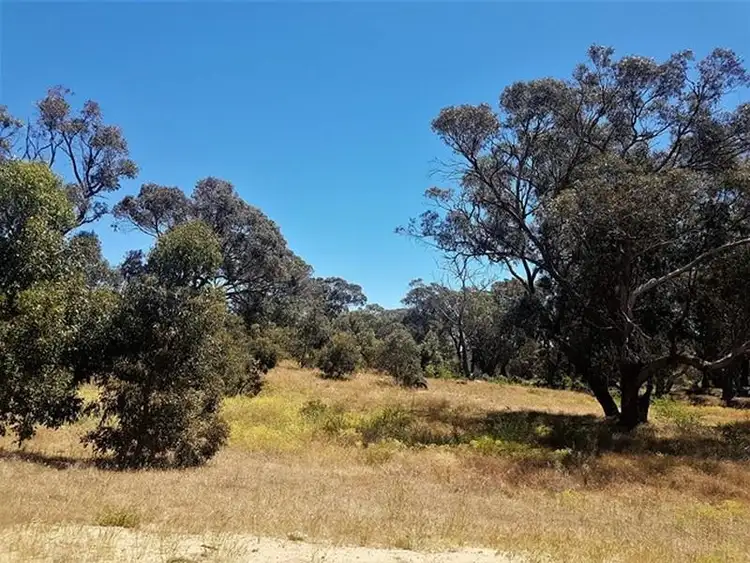 Main view of Homely land listing, 46 Oregano Drive, Two Rocks WA 6037