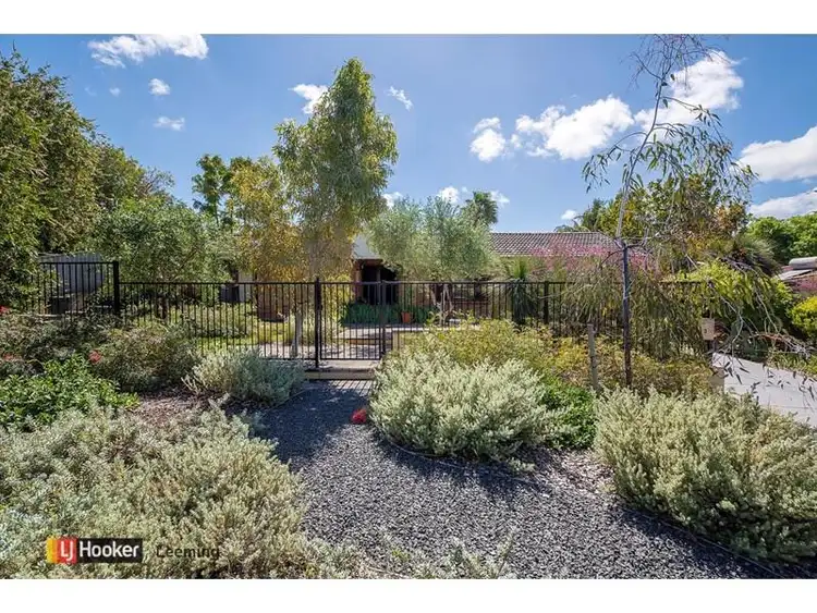3 Rae Place, Leeming WA 6149
