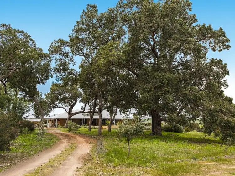Third view of Homely house listing, 38 Mchavloe Drive, Gingin WA 6503