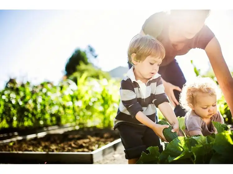 Lot 590, 24 Shepparton Boulevard, Byford WA 6122