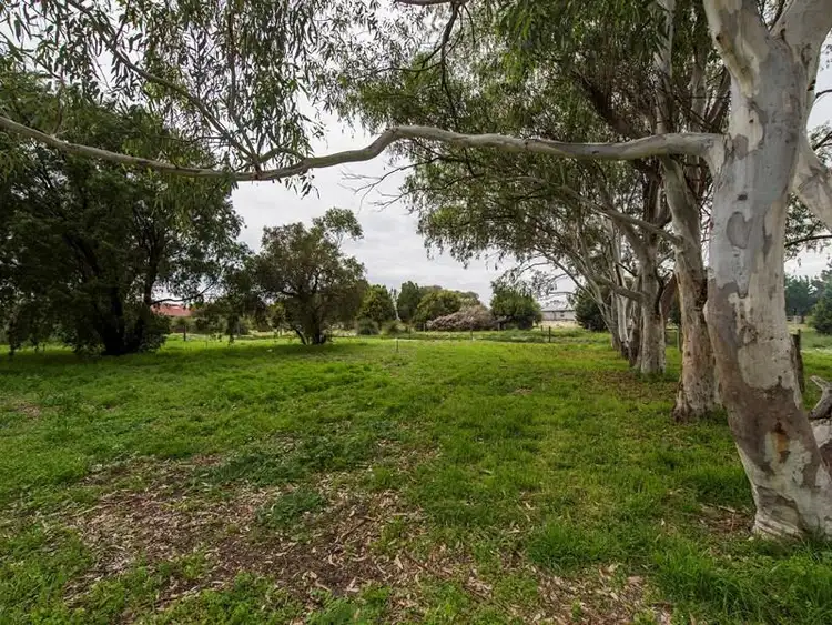 Fifth view of Homely house listing, 19 Casella Place, Wandi WA 6167