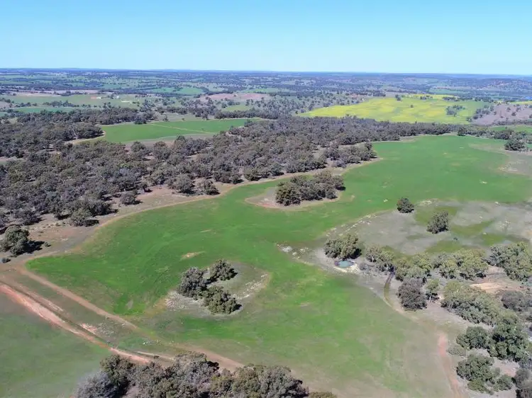 Main view of Homely rural property listing, 385 Hay Flat Road, Wannamal WA 6505