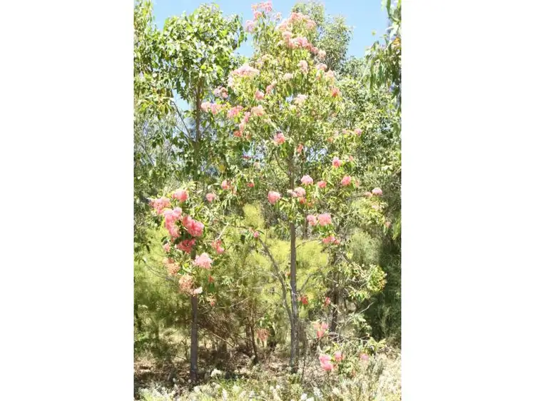 Second view of Homely land listing, Lot 883, Wida Way, Byford WA 6122