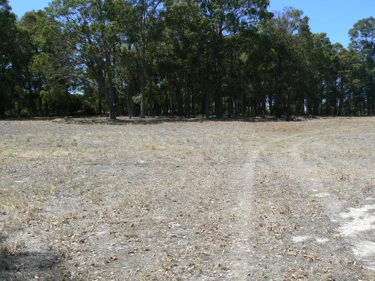 Main view of Homely rural property listing, Lot 816, Perseverance Boulevard, Argyle WA 6239