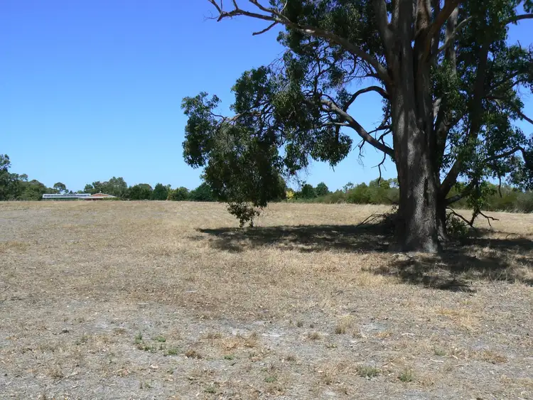 Seventh view of Homely rural property listing, Lot 816, Perseverance Boulevard, Argyle WA 6239