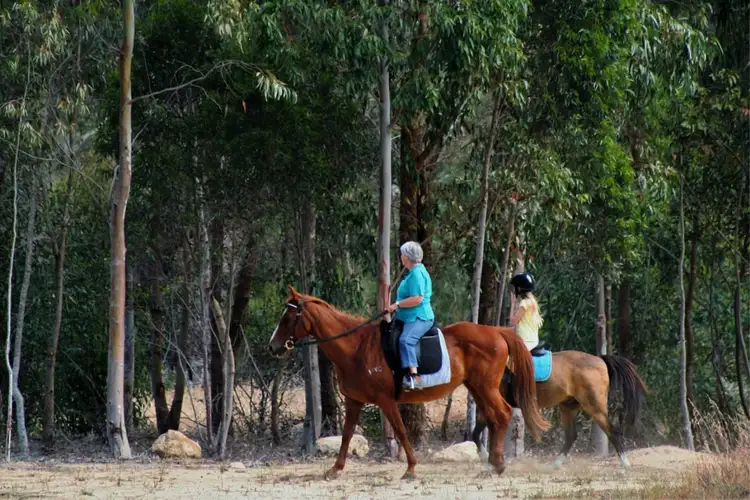 Fourth view of Homely land listing, 5 Chilli Glade, Two Rocks WA 6037