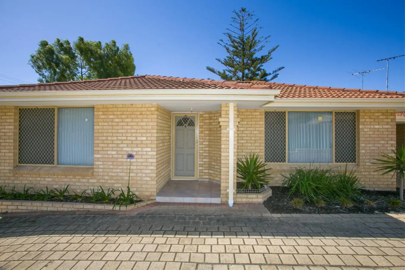 Main view of Homely villa listing, 344B Wanneroo Road, Nollamara WA 6061