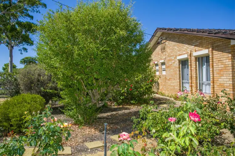 Fourth view of Homely villa listing, 1/149 Banksia Street, Tuart Hill WA 6060