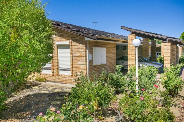 Sixth view of Homely villa listing, 1/149 Banksia Street, Tuart Hill WA 6060