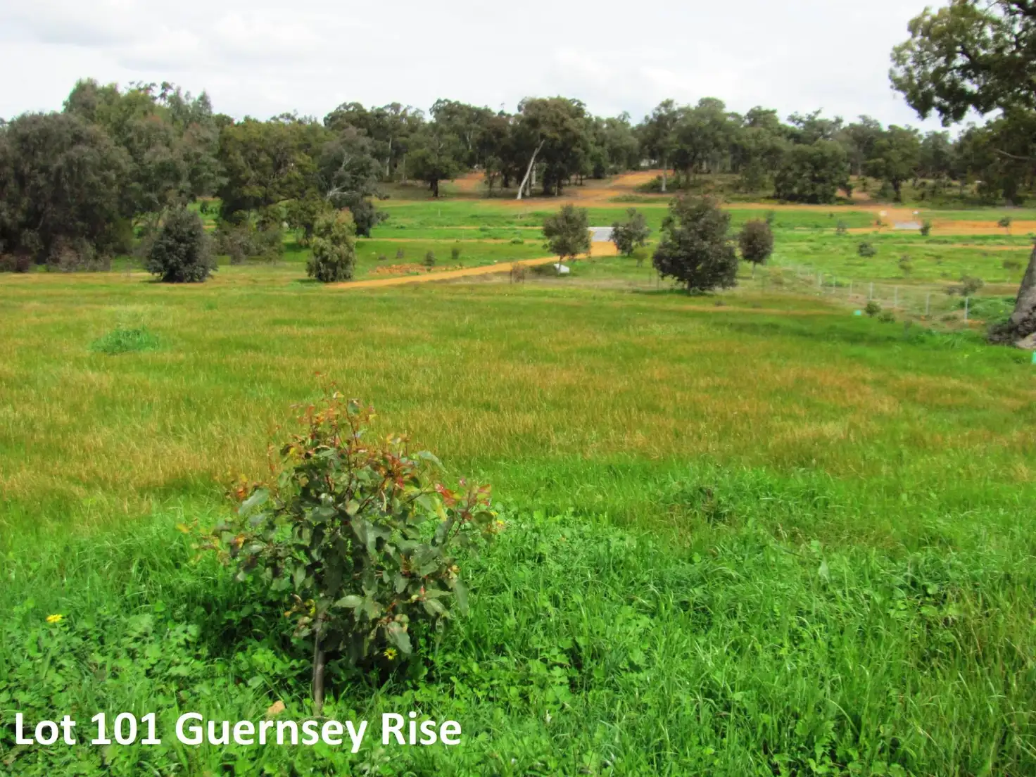 Main view of Homely land listing, Lot 101, Guernsey Rise, Chittering WA 6084