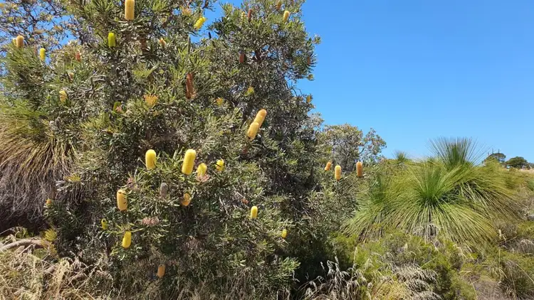 Second view of Homely land listing, Lot 34, Garden View, Gabbadah WA 6041