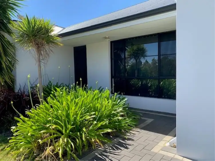 Main view of Homely house listing, 53 Paragon Loop, Dalyellup WA 6230