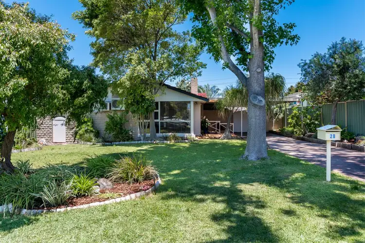 28 Hanworth Street, Balcatta WA 6021