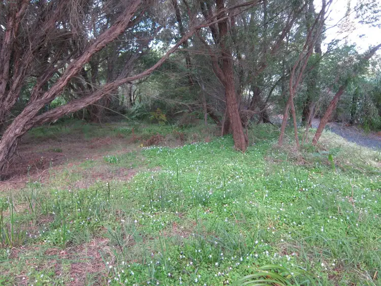 Fourth view of Homely land listing, 4 Salkilld Place, Augusta WA 6290