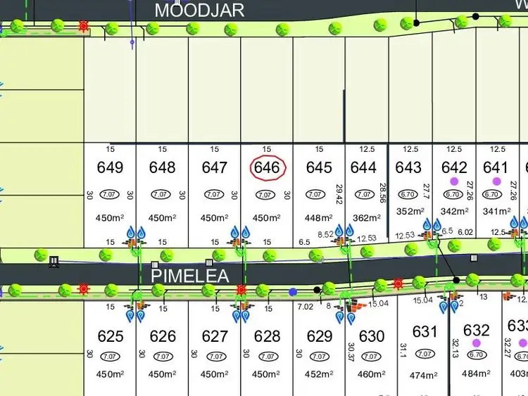 Lot 646 Pimelea Street, Baldivis WA 6171