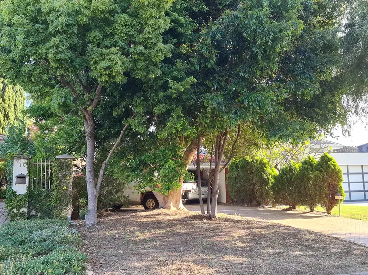 14B Coldwells Street, Bicton WA 6157