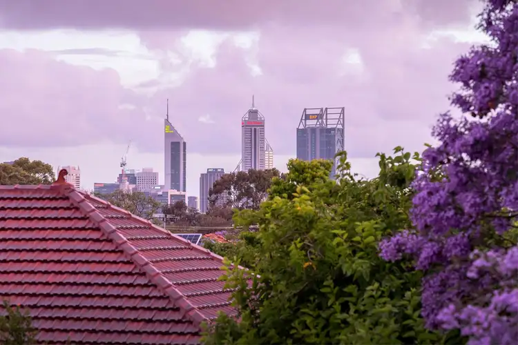 Fifth view of Homely house listing, 156 Shakespeare Street, Mount Hawthorn WA 6016