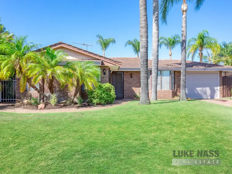 Main view of Homely house listing, 6 Strawberry Drive, Seville Grove WA 6112