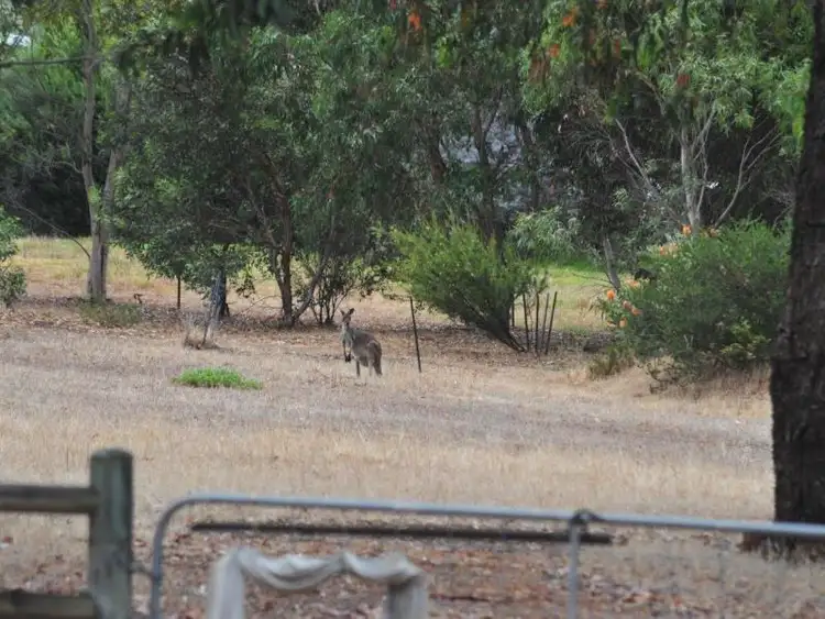 Third view of Homely land listing, Lot 216, 216 Coventry Street, Bullsbrook WA 6084