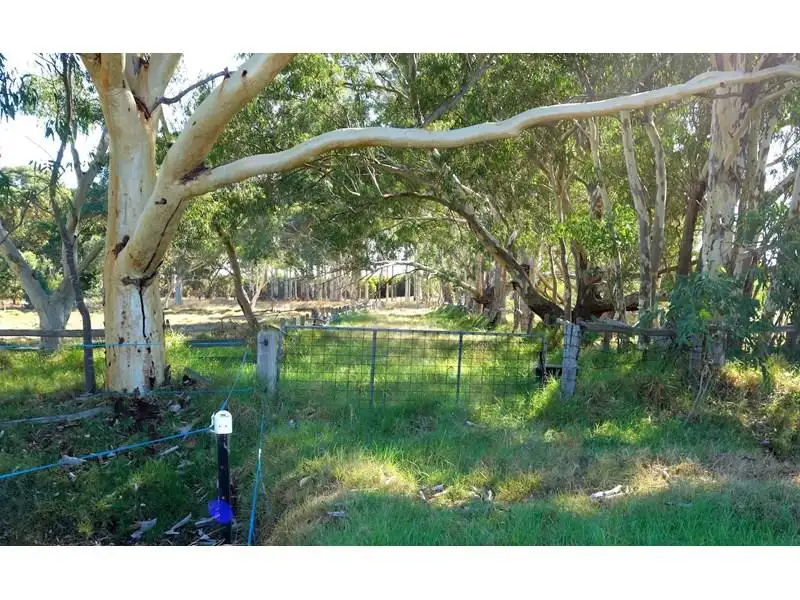 Main view of Homely house listing, Lot 23, Nicholson Road, Forrestdale WA 6112