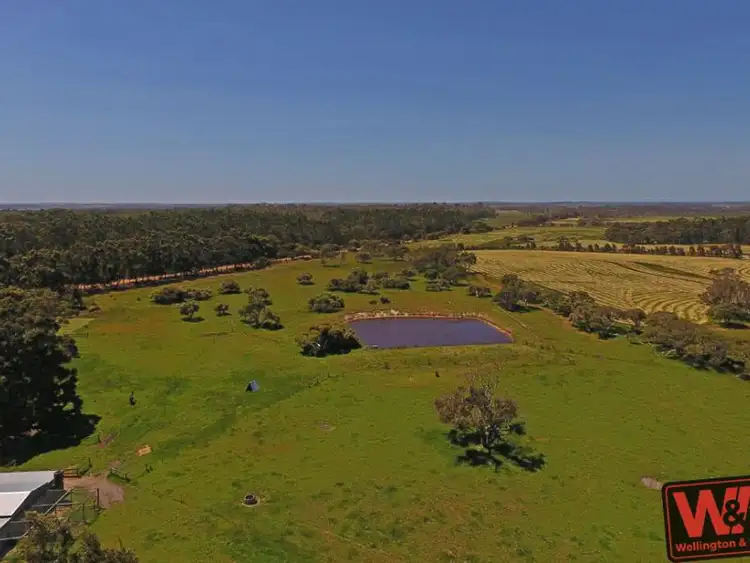 Third view of Homely rural property listing, 307 Stanley Road, Youngs Siding WA 6330