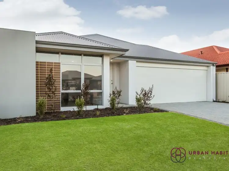Main view of Homely house listing, 51 Molonglo Crescent, Baldivis WA 6171