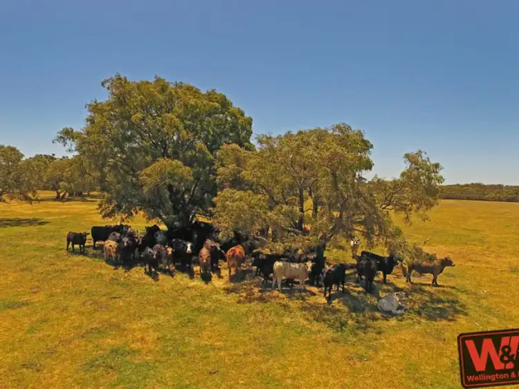 Second view of Homely rural property listing, Lot 12 South Coast Highway, Youngs Siding WA 6330