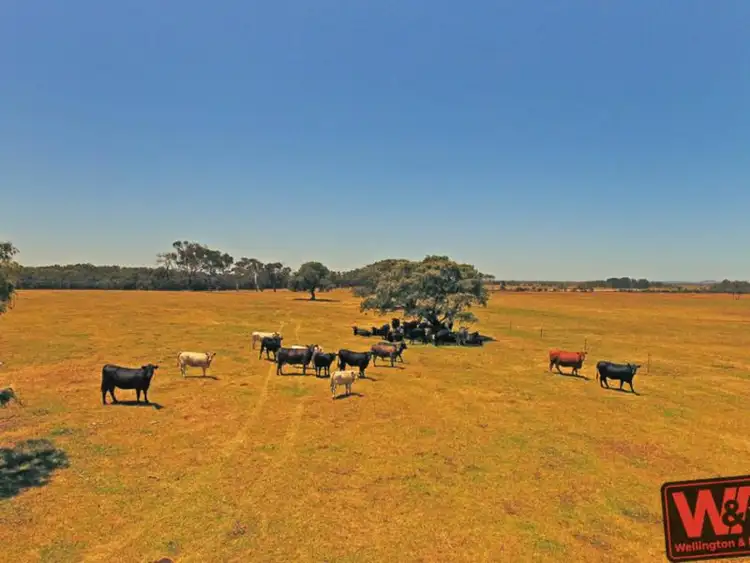 Third view of Homely rural property listing, Lot 12 South Coast Highway, Youngs Siding WA 6330