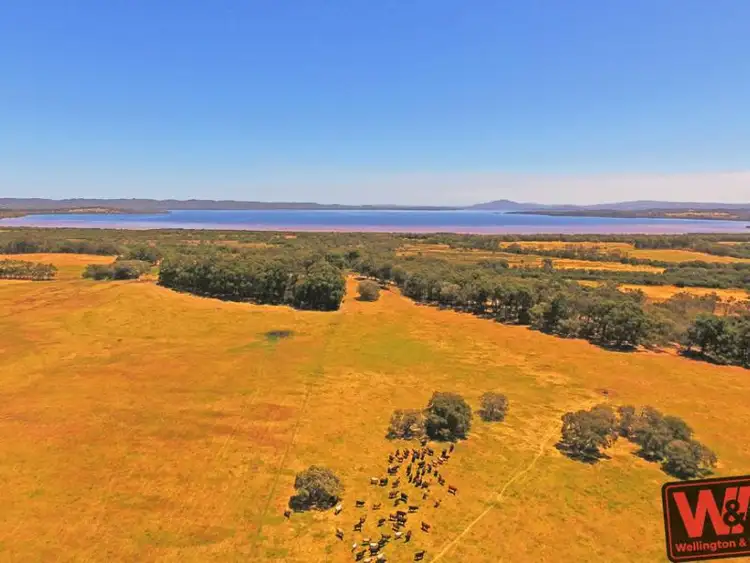 Fifth view of Homely rural property listing, Lot 12 South Coast Highway, Youngs Siding WA 6330