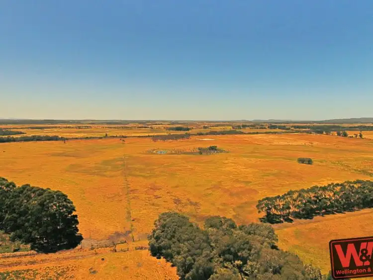 Sixth view of Homely rural property listing, Lot 12 South Coast Highway, Youngs Siding WA 6330