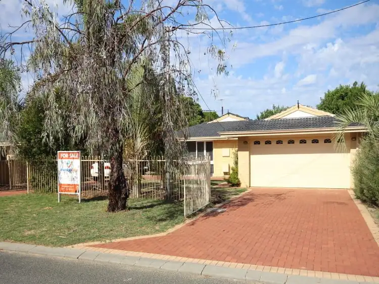 Main view of Homely house listing, 41 Thompson Drive, Wanneroo WA 6065