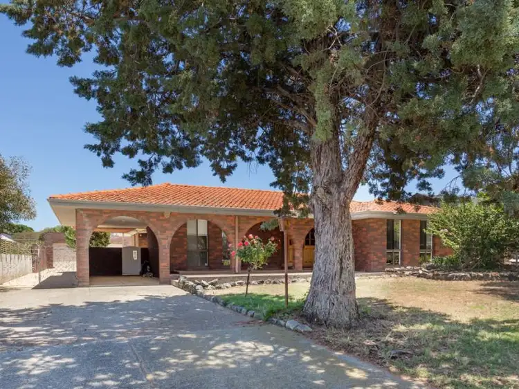 Main view of Homely house listing, 13 Stone Court, Kardinya WA 6163